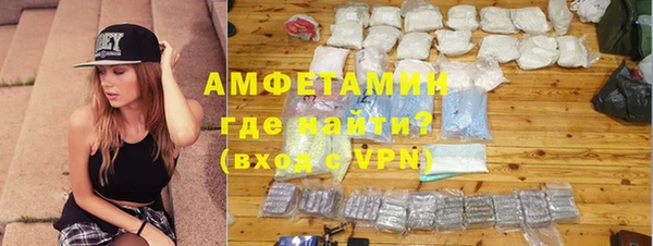 ГАЛЛЮЦИНОГЕННЫЕ ГРИБЫ Богданович